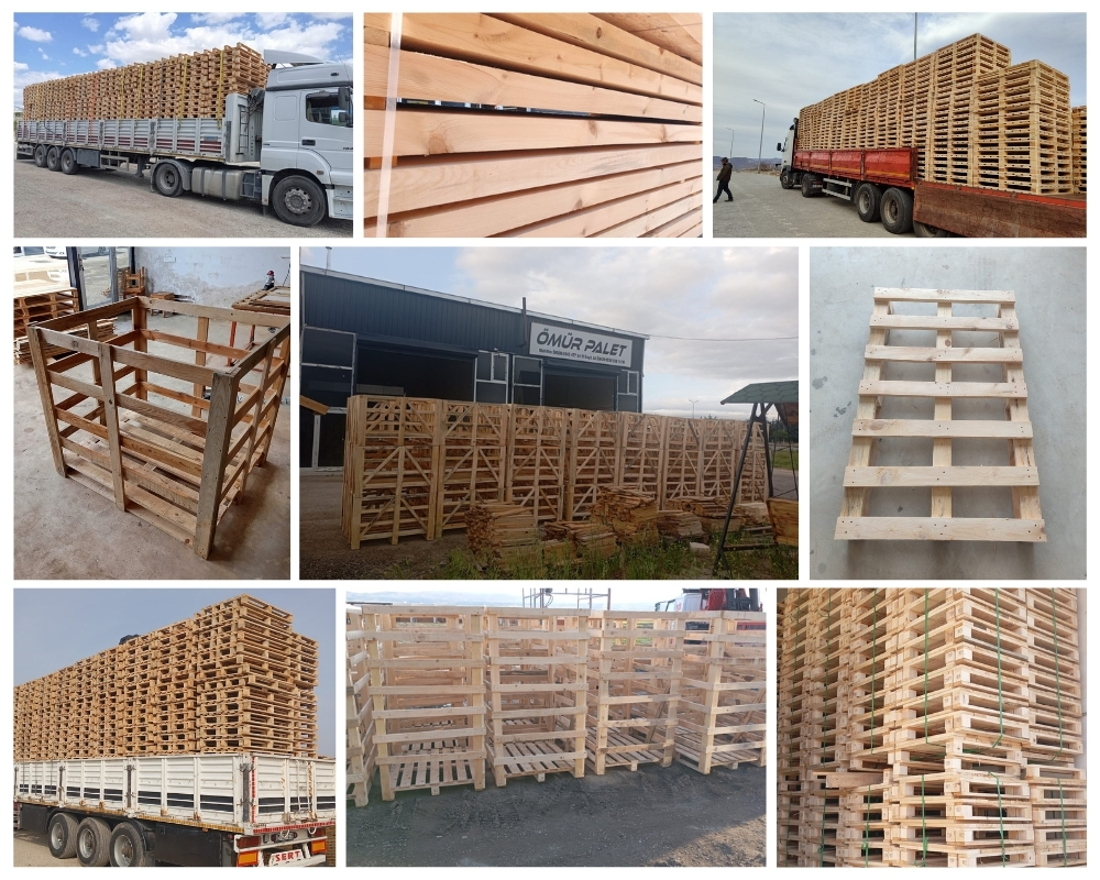 Oud-Beijerland Houten Kisten, Europallets Groothandel Kopen